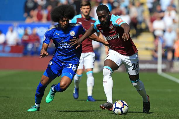 极引入国外 极引入国外