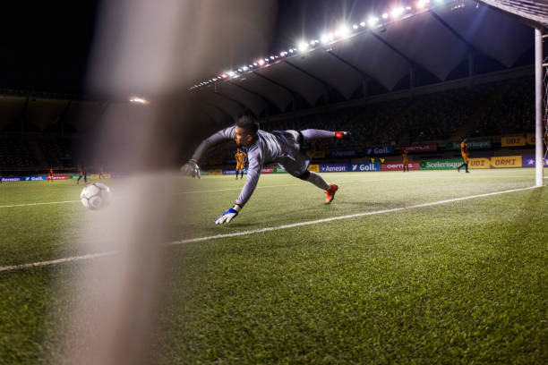 多体现在他 多体现在他